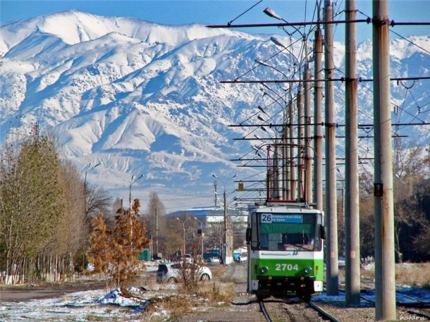 Ташкент Куйлюк